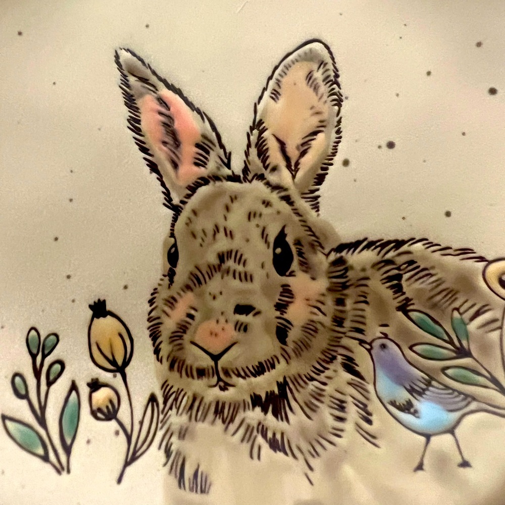 Spring Beige Multi-Color Rabbit Spring,6” Easter Dessert/Appetizer Plates NWT - Picture 7 of 14